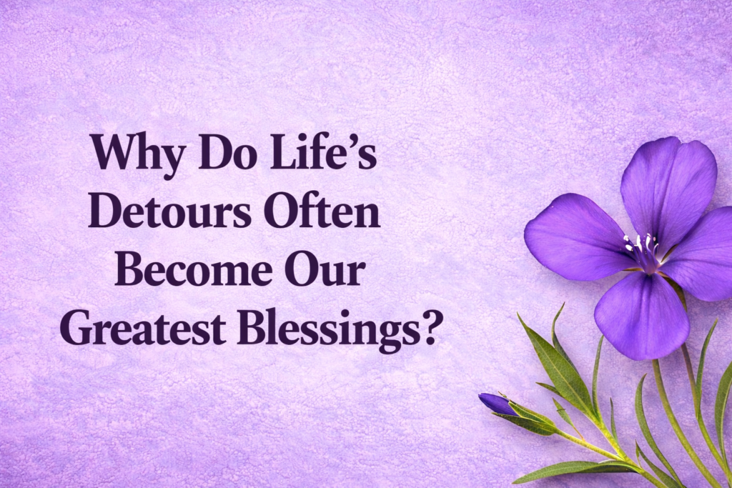 why do lifes detours often feature image